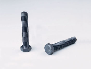 HT-BT001 HEX BOLT (HEX CAP SCREW)
